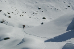 PaesaggiPrimaverili180404-Verso-la-pineta